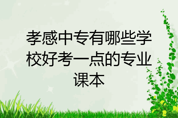 孝感中专有哪些学校好考一点的专业课本
