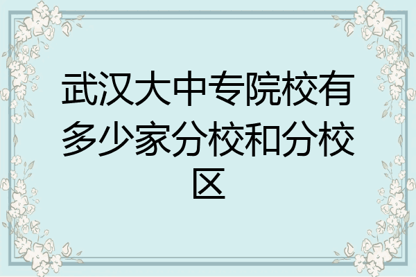 武汉大中专院校有多少家分校和分校区