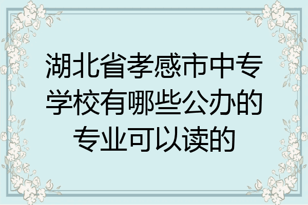 湖北省孝感市中专学校有哪些公办的专业可以读的