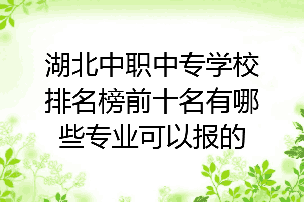 湖北中职中专学校排名榜前十名有哪些专业可以报的