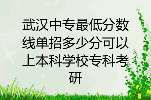 武汉中专最低分数线单招多少分可以上本科学校专科考研