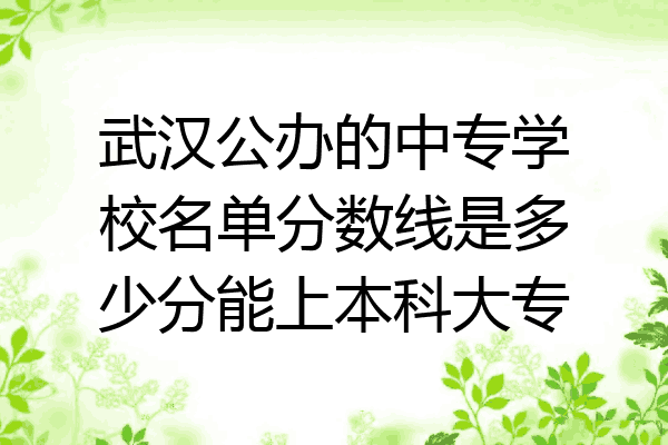 武汉公办的中专学校名单分数线是多少分能上本科大专