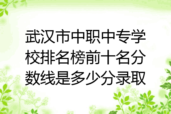 武汉市中职中专学校排名榜前十名分数线是多少分录取