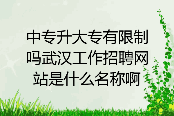 中专升大专有限制吗武汉工作招聘网站是什么名称啊
