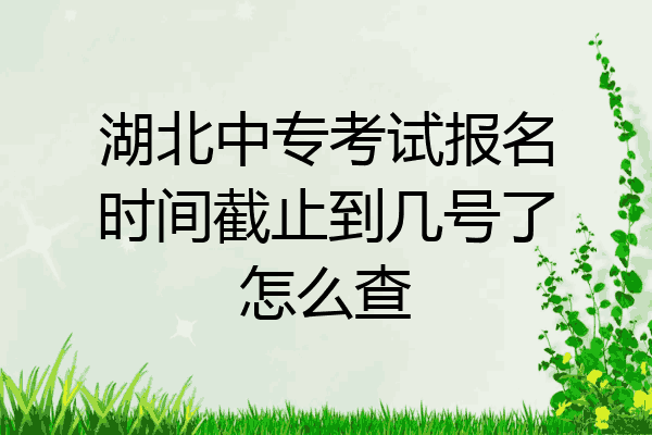 湖北中专考试报名时间截止到几号了怎么查