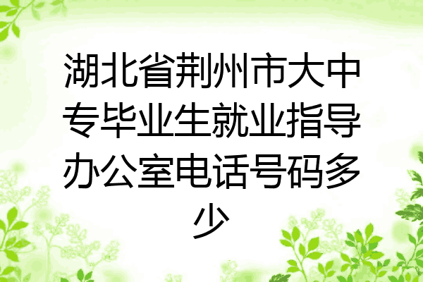 湖北省荆州市大中专毕业生就业指导办公室电话号码多少