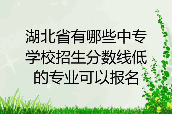 湖北省有哪些中专学校招生分数线低的专业可以报名