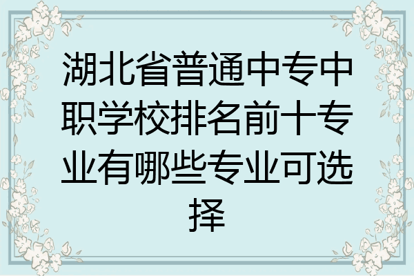 湖北省普通中专中职学校排名前十专业有哪些专业可选择