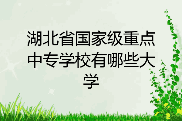 湖北省国家级重点中专学校有哪些大学