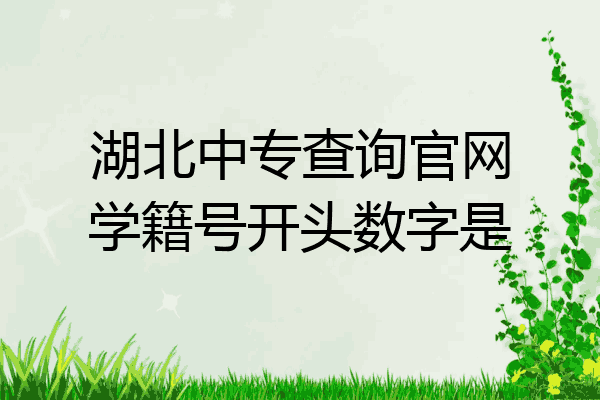 湖北中专查询官网学籍号开头数字是