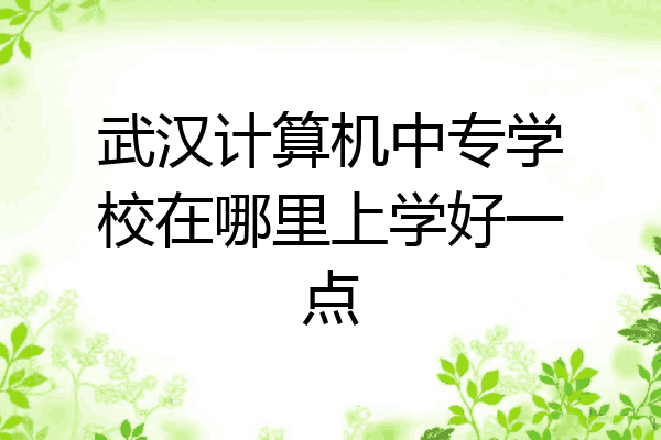 武汉计算机中专学校在哪里上学好一点