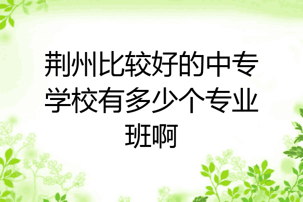 荆州比较好的中专学校有多少个专业班啊