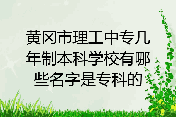 黄冈市理工中专几年制本科学校有哪些名字是专科的
