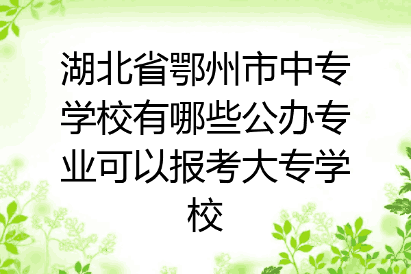 湖北省鄂州市中专学校有哪些公办专业可以报考大专学校