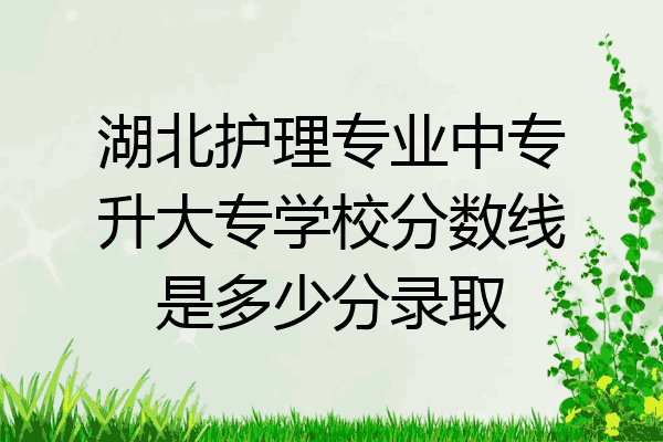 湖北护理专业中专升大专学校分数线是多少分录取