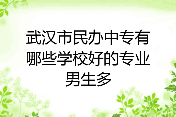 武汉市民办中专有哪些学校好的专业男生多