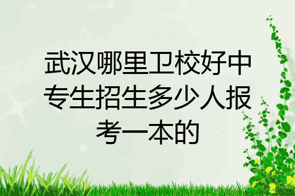 武汉哪里卫校好中专生招生多少人报考一本的