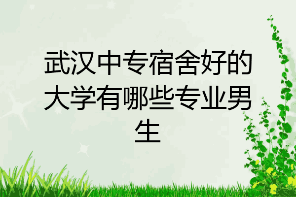 武汉中专宿舍好的大学有哪些专业男生