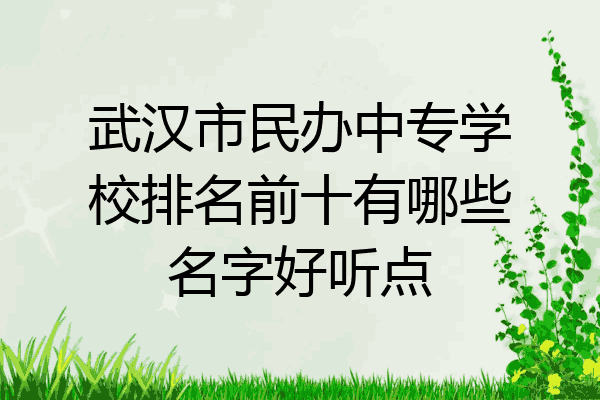 武汉市民办中专学校排名前十有哪些名字好听点