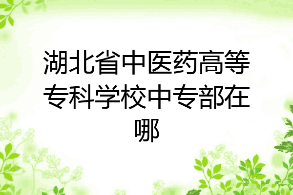 湖北省中医药高等专科学校中专部在哪