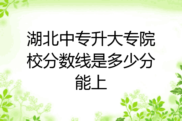 湖北中专升大专院校分数线是多少分能上