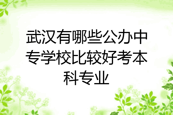 武汉有哪些公办中专学校比较好考本科专业