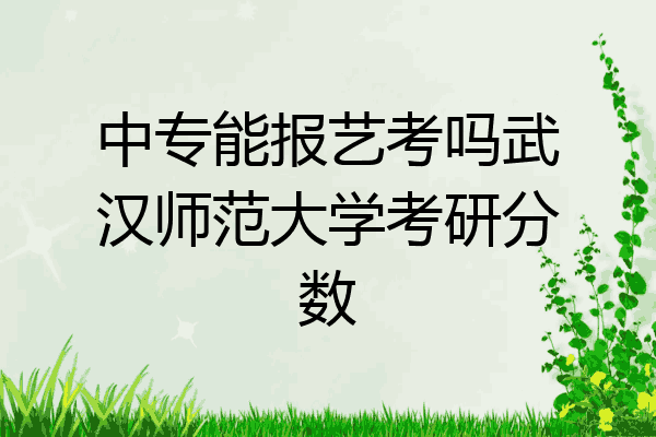 中专能报艺考吗武汉师范大学考研分数