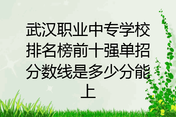 武汉职业中专学校排名榜前十强单招分数线是多少分能上