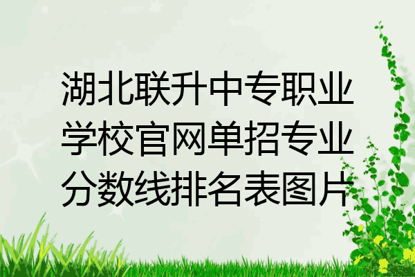 湖北联升中专职业学校官网单招专业分数线排名表图片