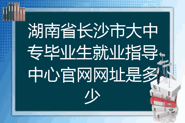 湖南省长沙市大中专毕业生就业指导中心官网网址是多少