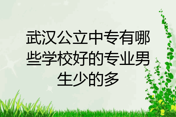 武汉公立中专有哪些学校好的专业男生少的多