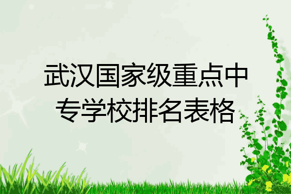 武汉国家级重点中专学校排名表格