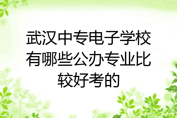 武汉中专电子学校有哪些公办专业比较好考的