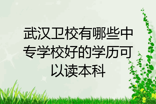 武汉卫校有哪些中专学校好的学历可以读本科
