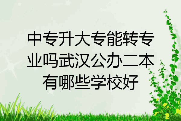 中专升大专能转专业吗武汉公办二本有哪些学校好