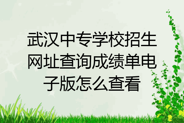 武汉中专学校招生网址查询成绩单电子版怎么查看