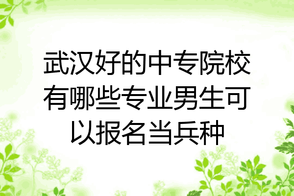 武汉好的中专院校有哪些专业男生可以报名当兵种