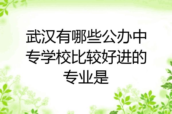 武汉有哪些公办中专学校比较好进的专业是