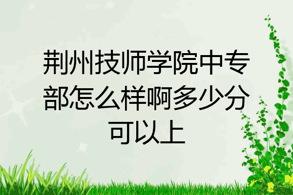 荆州技师学院中专部怎么样啊多少分可以上