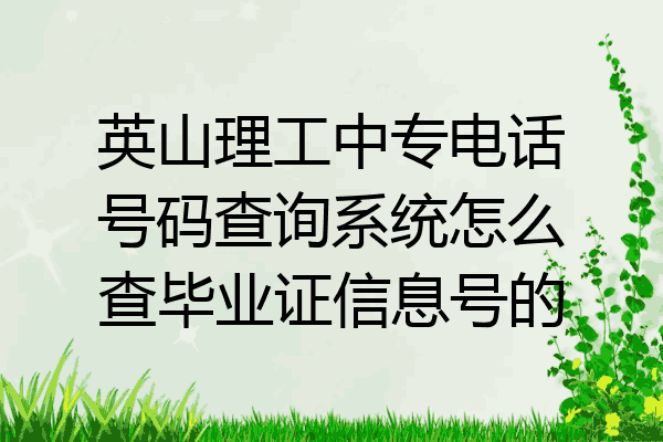英山理工中专电话号码查询系统怎么查毕业证信息号的