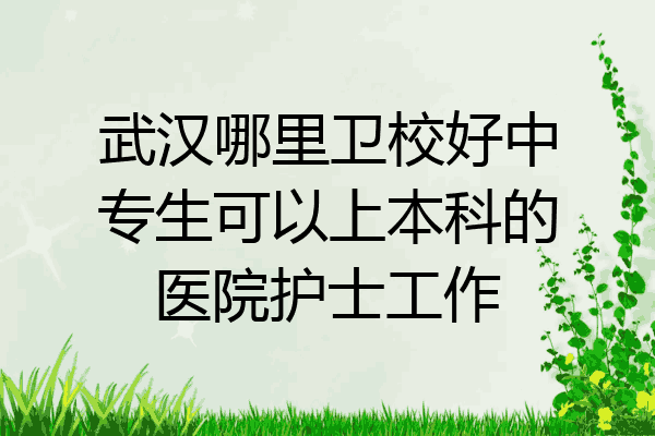 武汉哪里卫校好中专生可以上本科的医院护士工作