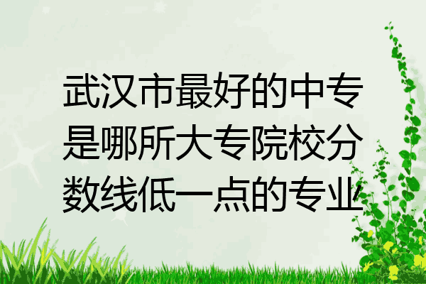 武汉市最好的中专是哪所大专院校分数线低一点的专业