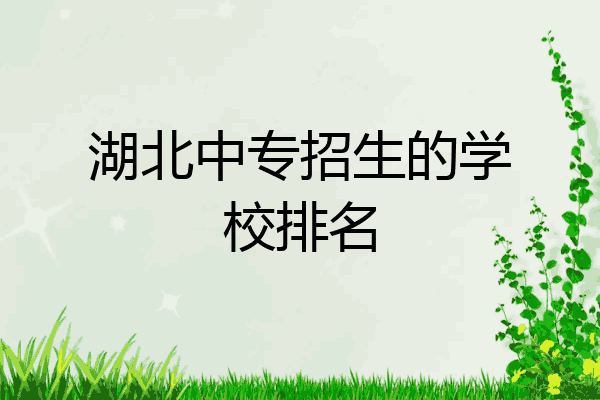 湖北中专招生的学校排名