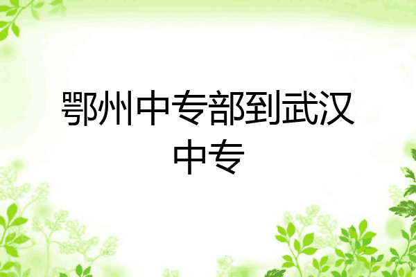 鄂州中专部到武汉中专