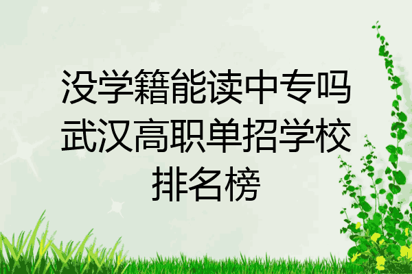 没学籍能读中专吗武汉高职单招学校排名榜