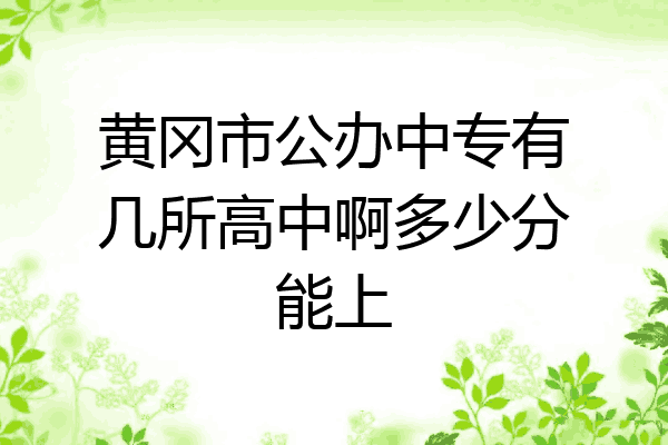 黄冈市公办中专有几所高中啊多少分能上