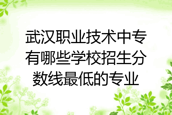 武汉职业技术中专有哪些学校招生分数线最低的专业