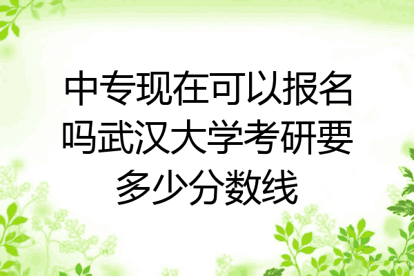 中专现在可以报名吗武汉大学考研要多少分数线