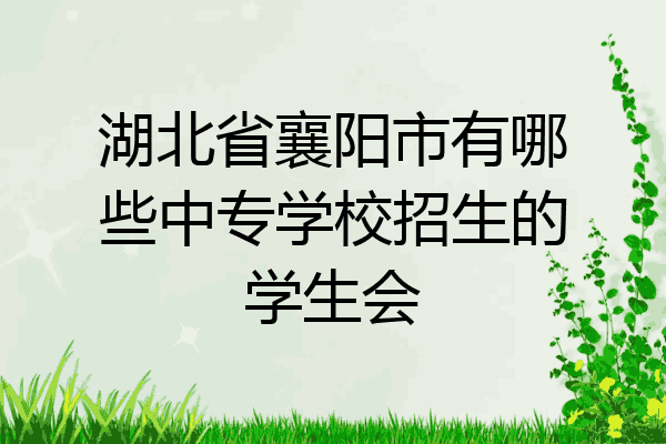 湖北省襄阳市有哪些中专学校招生的学生会