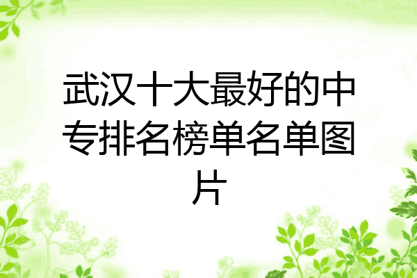 武汉十大最好的中专排名榜单名单图片